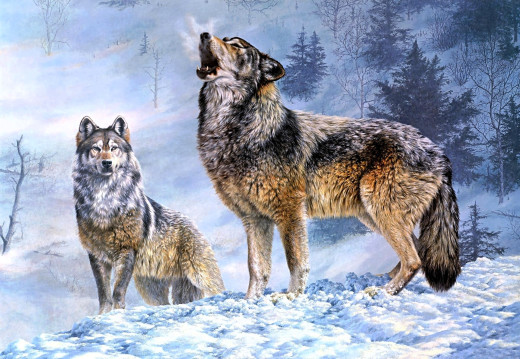 1674712 (a): :1920x1323